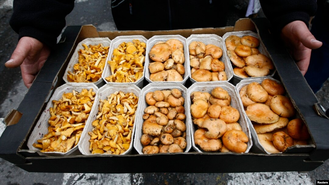 Aneka macam jamur yang dapat dimakan dijual di sebuah pasar di Warsawa, Polandia. 