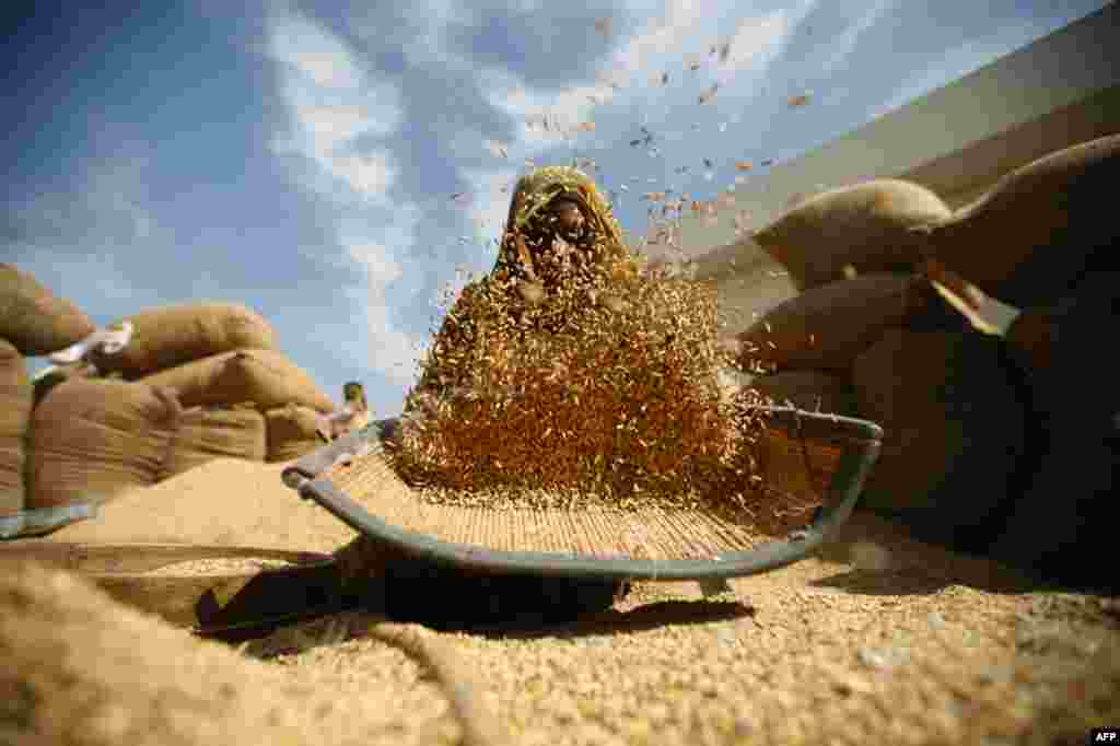 Jan. 7: A labourer winnows rice at a market yard at Bavla, west of the western Indian city of Ahmedabad. Record high food prices are moving to the top of policymaker agendas, driven by fears it could encourage inflation, protectionism and unrest. (Amit Da