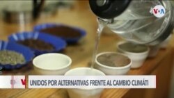 Cafeteros salvadoreños se niegan a rendirse ante impacto del cambio climático