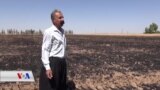 سکاڵای جوتیارێک لە بەرامبەر سوتاندنی دەغڵ و دانەکەی