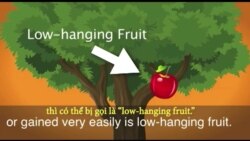 Thành ngữ tiếng Anh thông dụng: Low-hanging fruit (VOA)