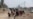 UN: Thousands Flee Mosul as Military Siege Intensifies