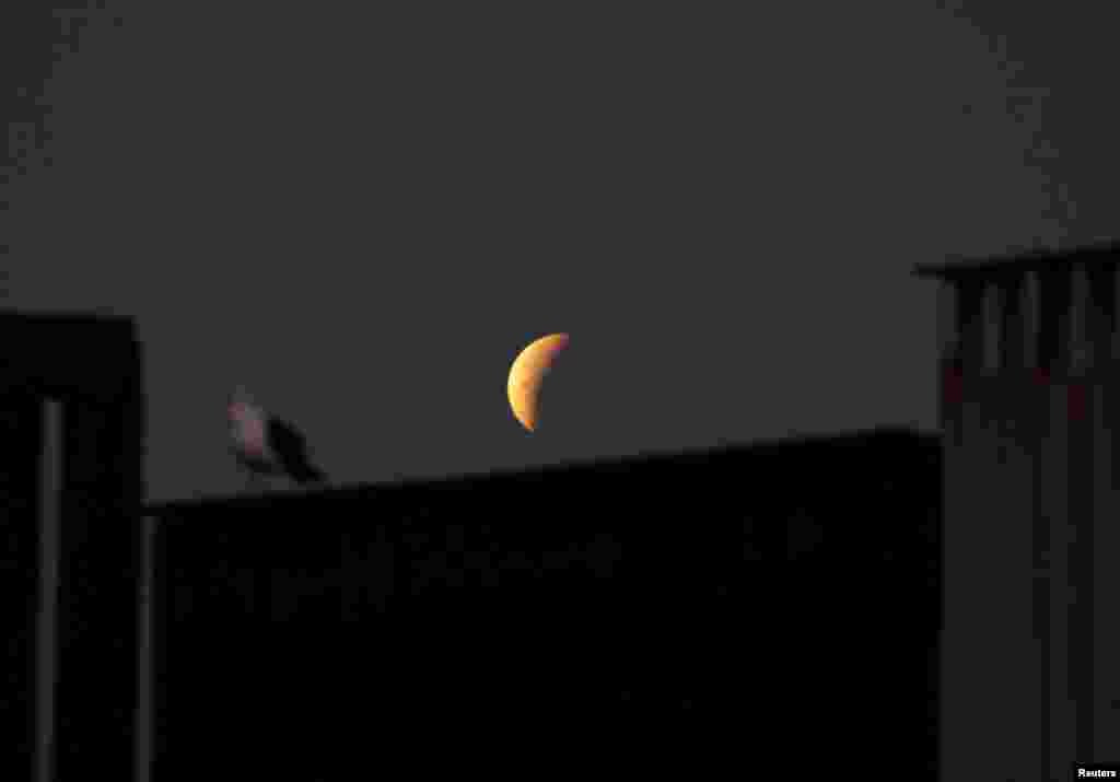 Güneş, dünya ve ay tek bir çizgide sıralandığında dünyanın atmosferi güneşten aldığı mavi ışığı yayarken, aya kırmızı ışık gönderiyor. (Arşiv: Meksika&#39;da ay tutulması)