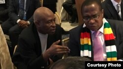 Muzvinafundo Mthuli Ncube 