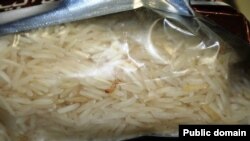 FILE - A Khapra beetle is seen in a bag of rice confiscated by U.S. Customs and Border Protection at an unspecified location.