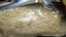 FILE - A Khapra beetle is seen in a bag of rice confiscated by U.S. Customs and Border Protection at an unspecified location.