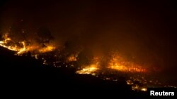 Kebakaran hutan di Las Manchas, bagian barat daya pulau La Palma, Spanyol, awal 5 Agustus 2016. (Foto: dok).