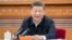 Presiden China Xi Jinping 