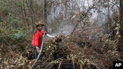 Seorang petugas damkar berusaha memadamkan kebakaran hutan di Pekanbaru, provinsi Riau (foto: dok). 