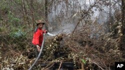 A fire fighter sprays water to extinguish a forest fire in Pekanbaru, Riau province, Indonesia, Feb. 21, 2018. 