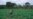 Drought Parches Four Zimbabwean Provinces, Devastating Harvest Hopes