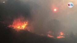 Estado de emergencia en California por incendios forestales