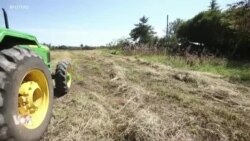 La marque de tracteurs John Deere convoite le marché africain