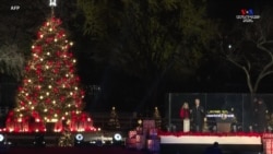 ԱՄՆ նախագահ Ջո Բայդենը և ԱՄՆ առաջին տիկին Ջիլ Բայդենը վառել են Ազգային տոնածառի լույսերը