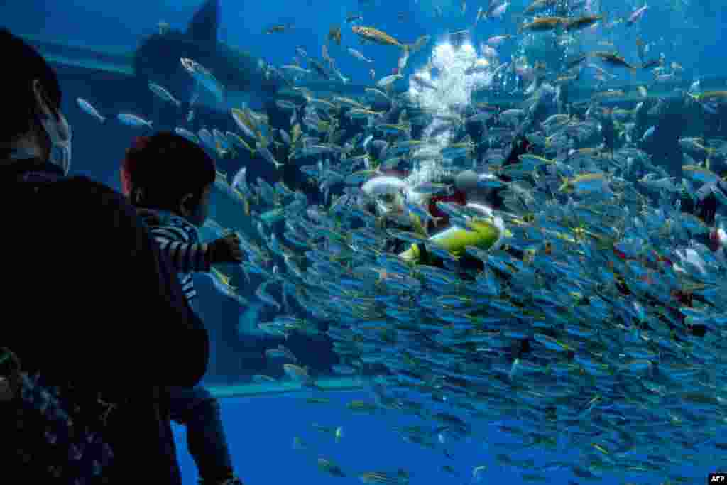 People watch a diver dressed as Santa Claus feeds fish in an aquarium at the Hakkeijima Sea paradise in Yokohama, Japan.
