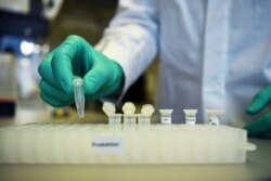 Сотрудник немецкой биофармацевтической компании CureVac демонстрирует рабочий процесс исследования вакцины против коронавирусной болезни (COVID-19) в лаборатории в Тюбингене, Германия