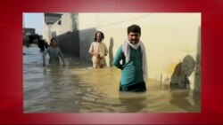 د ډیوه د روانو چارو خپرونه په ټي وي
