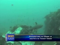 Национална стратегија