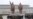 New US Envoy for North Korea Rights an 'Ideal' Fit, Activists Say
