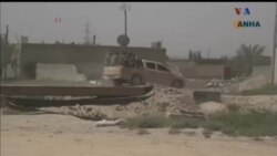 اخبار شامگاهی