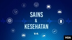 Sepeda Motor Bertenaga Surya untuk Atasi Perburuan Satwa Liar di Afrika