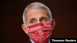 FILE - Anthony Fauci, director of the National Institute of Allergy and Infectious Diseases, sports a Washington Nationals mask at a Senate hearing in Washington, D.C., June 30, 2020. 