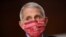 FILE - Anthony Fauci, director of the National Institute of Allergy and Infectious Diseases, sports a Washington Nationals mask at a Senate hearing in Washington, D.C., June 30, 2020. 