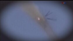 اخبار شامگاهی