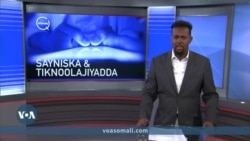 Wararka sayniska iyo teknoolojiyadda