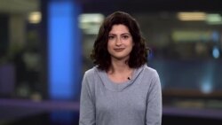 Брифинг 26 ноября