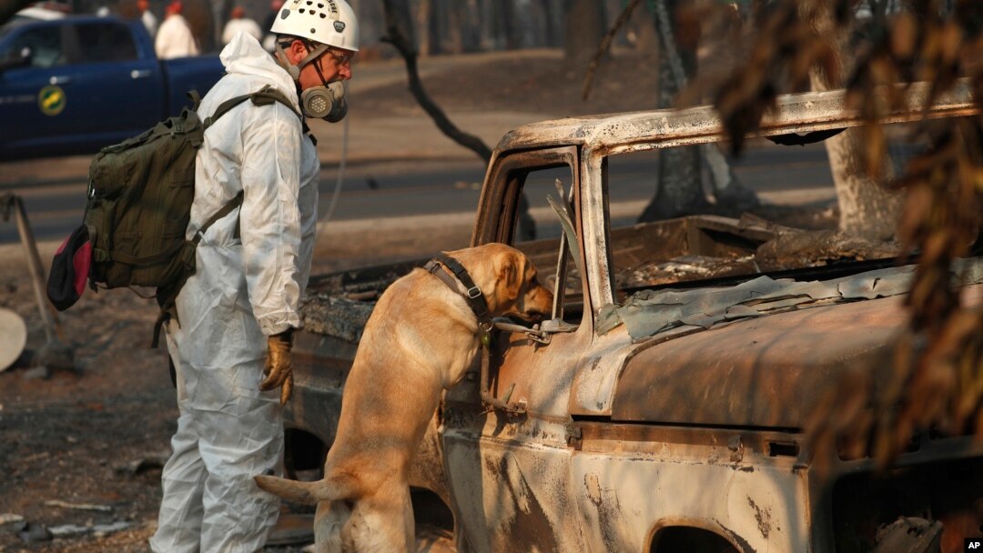 Spasilačke ekipe tragaju za žrtava razornih požara u Kaliforniji (Foto: AP/John Locher)