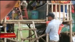 Truyền hình vệ tinh VOA 23/5/2017