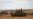 Ethiopian Troop Withdrawals in Somalia Raise Concern of Al-Shabab Resurgence