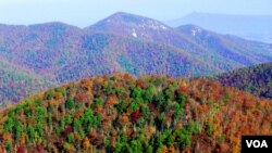 Pemandangan alam di Taman Nasional Shenandoah pada musim gugur senantiasa membuat orang berdecak kagum.