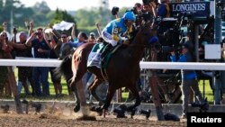 American Pharoah, with jockey Victor Espinoza aboard, wins the 2015 Belmont Stakes and the Triple Crown at Belmont Park in Elmont, N.Y., June 6, 2015. (Credit: Winslow Townson-USA TODAY Sports)