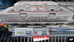 Egg cartons for sale are displayed at a grocery store, Feb. 7, 2025 in Grosse Pointe, Michigan.