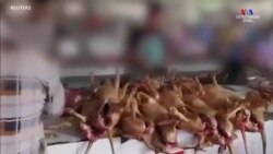 Շան մսի տոնավաճառ-փառատոնը Չինաստանում վերաբացվել է, ակտիվիստները հույս ունեն՝ վերջին անգամ