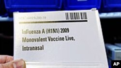 H1N1甲型流感疫苗
