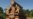 Liberia Urged to Come Clean on Illegal Timber Shipments