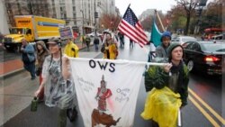 ورود معترضان اشغال وال استریت به واشنگتن