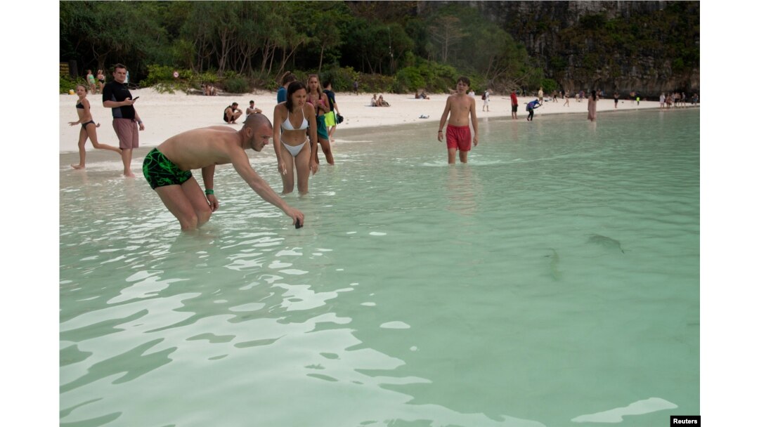 The Wider Image: Sharks, tourists jostle for space around Thai destination island