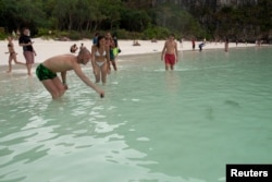 The Wider Image: Sharks, tourists jostle for space around Thai destination island