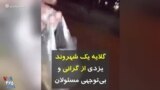 گلایه یک شهروند یزدی از گرانی و بی‌توجهی مسئولان