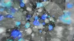 بي بي شیرینه – وي او اې ډيوه په ټیلې ویژن