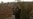 Pitched Battles in Syria Reported Near IS Raqqa Stronghold