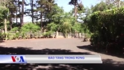 Bảo tàng trong rừng