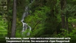 Битва за тишину