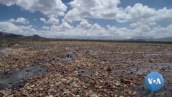 Plastic Pollution Packs the Surface of Bolivian Lake