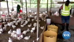 b45f96ab-c07c-4ebb-a0e2-cf40b3fb5c10_fullhd.mp4