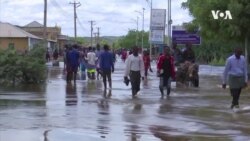 YEMEN REFUGEES -- USAGM